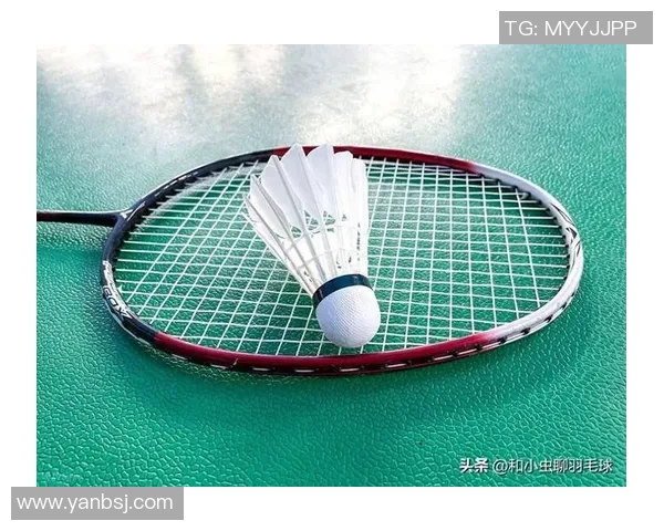 羽毛球新手必看全面入门指南助你快速提升个人能力与技巧