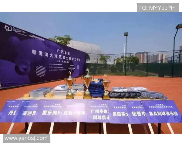 体育实时数据深圳网球队在洲际杯中的崛起与成长历程全景揭秘